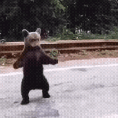 Brown Bear Standing On Sidewalk GIF