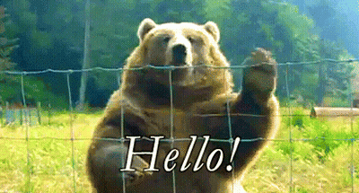Brown Bear Waving Hello GIF