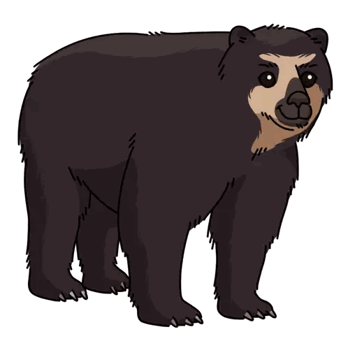 Brown Bear With Beard Sticker