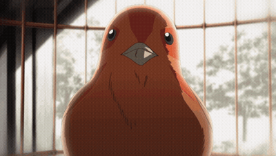 Brown Bird With Black Beak Sitting In Cage Looking At Camera GIF