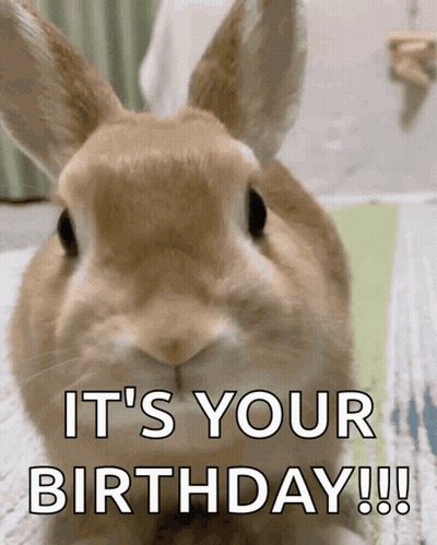Brown Bunny Rabbit It's Your Birthday GIF