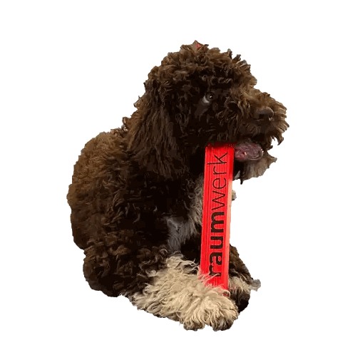 Brown Dog Chewing On Red Raumwerk Item Sticker