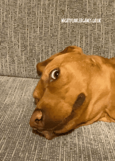 Brown Dog Laying On Grey Couch With MightyLancerGames.co.uk GIF