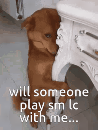 Brown Dog Leaning Against Table Saying Will Someone Play SM LC With Me GIF
