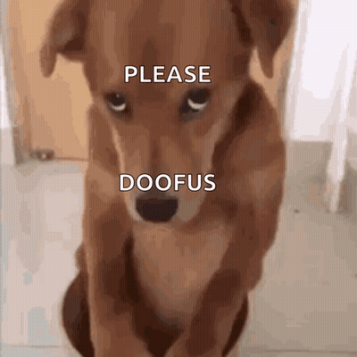 Brown Dog Saying Please Doofus