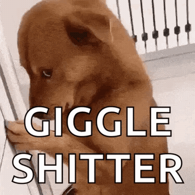Brown Dog Standing By Railing Saying Giggle Shitter GIF