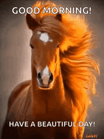 Brown Horse Running Saying Good Morning GIF