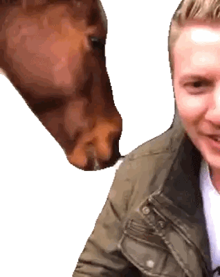 Brown Horse Sniffing Man's Ear Sticker