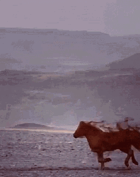 Brown Horse To White Unicorn Transformation  GIF