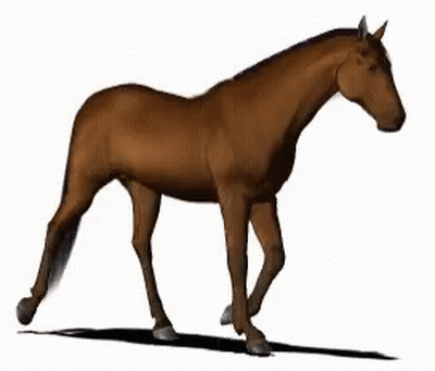 Brown Horse Walking GIF