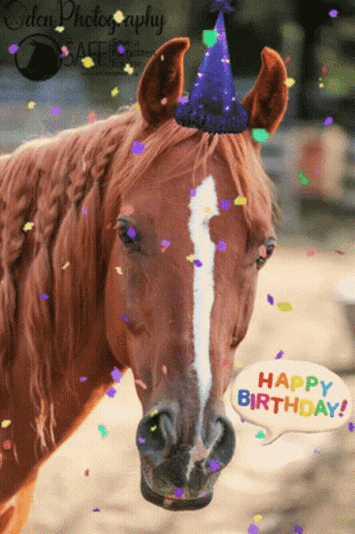 Brown Horse Wearing Birthday Hat With Happy Birthday Bubble GIF