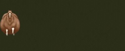 Brown Horse With White Legs Standing On Green Background GIF
