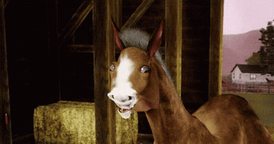 Brown Horse With White Spot Standing In Barn GIF