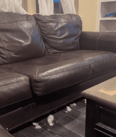 Brown Leather Couch And Coffee Table GIF