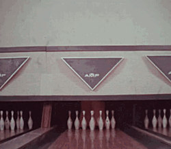 Brown Mascot Come Out In Bowling Alley GIF