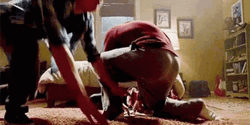 Brown Noser Alpha Dog GIF
