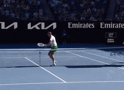 Brown Poodle On Hind Legs Saying Happy Saturday GIF