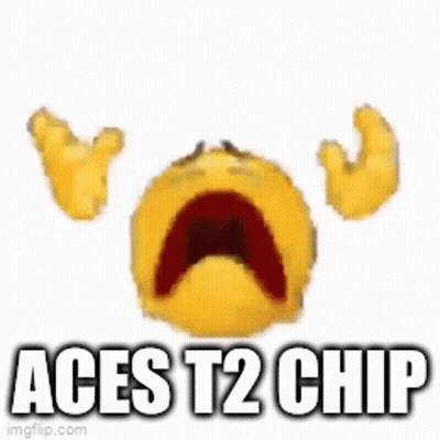Brown Stain Saying Aces T2 Chip GIF