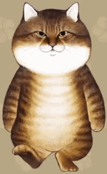 Brown Stripes Cat Walking GIF
