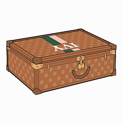 Brown Suitcase With Green And Pink Stripe Saying XII GIF