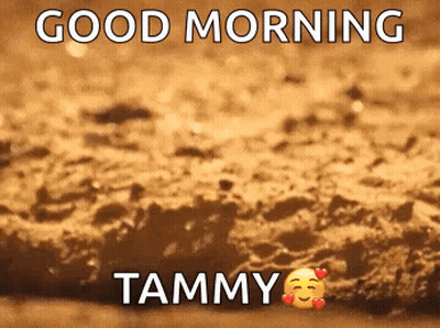 Brown Surface Saying Good Morning Tammy GIF