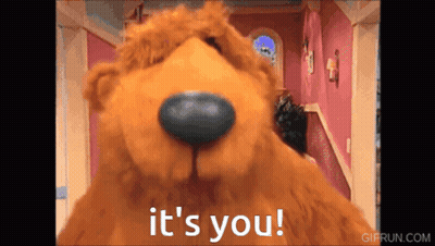 Brown Teddy Bear Says It's You GIF