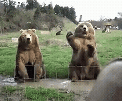 Brown Teddy Bear Standing In Front Of Stairs GIF