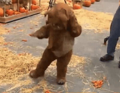 Brown Teddy Bear Walking GIF