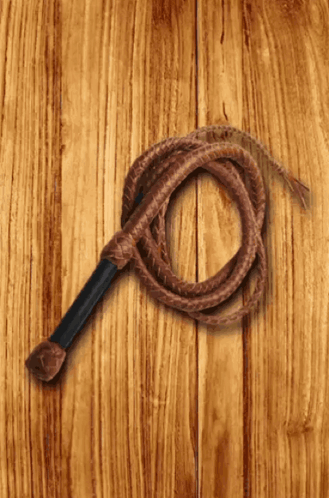 Brown Whip with Black Handle