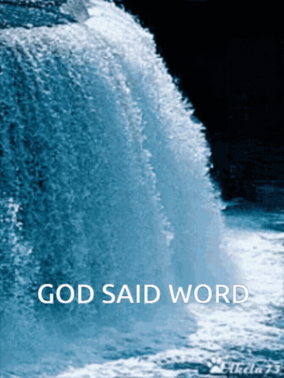Brown White Dog In Puddle GIF