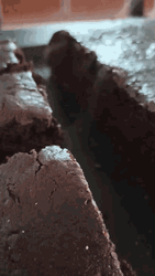 Brownies Steaming Hot GIF