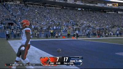 Browns Vs Seahawks On Fox NFL GIF