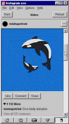 Browsing On Instagram Feed GIF