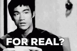 Bruce Lee For Real GIF