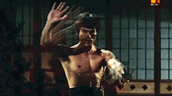 Bruce Lee Kung Fu GIF