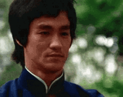 Bruce Lee Kung Fu GIF