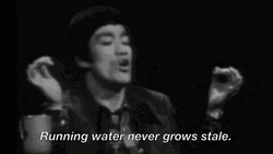 Bruce Lee Kung Fu Wisdom GIF