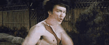 Bruce Lee Speed Box GIF