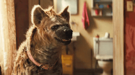 Bruce The Hyena GIF