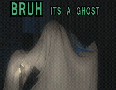 Bruh Its A Ghost Poster GIF
