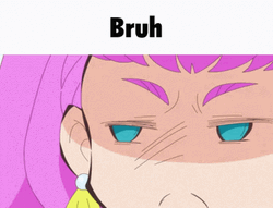 Bruh Meme Pretty Cure Laura GIF