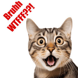 Bruh Meme Shocked Cat WTF GIF