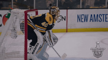 Bruins Happy Ice Hockey GIF