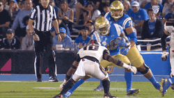 Bruins Runs Fast GIF