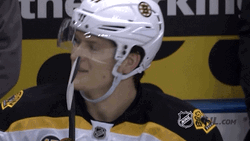 Bruins Sport Hockey Game GIF