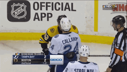 Bruins Tampa Bay Boston GIF