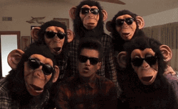Bruno Mars With Monkeys Yep GIF