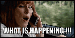 Bryce Dallas Howard What Is Happening GIF