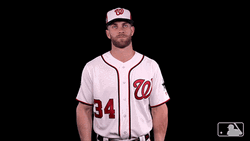 Bryce Harper Phillies Up GIF