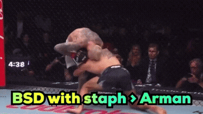 BSD With Staph Arman Boxing Match GIF